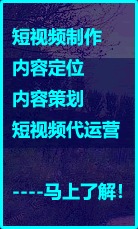 百度SEO优化服务-谷歌优化